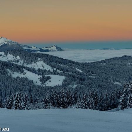 Samoens 1600 Studio Au Pied Des Pistes Kültér fotó