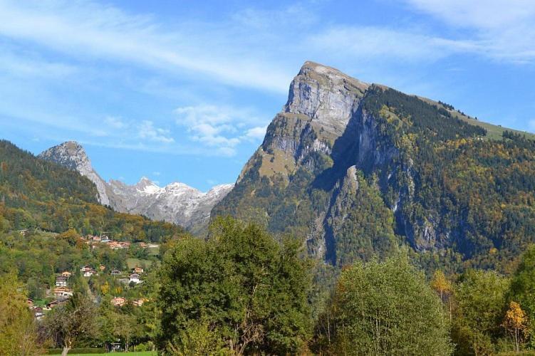 Samoens 1600 Studio Au Pied Des Pistes Kültér fotó